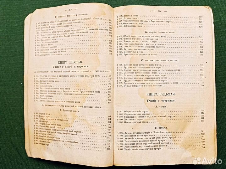 1874. Руководство к анатомии человеческого тела