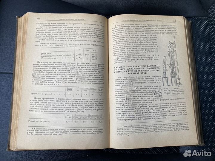 Агрохимия Д.Н.Прянишков 1940 год