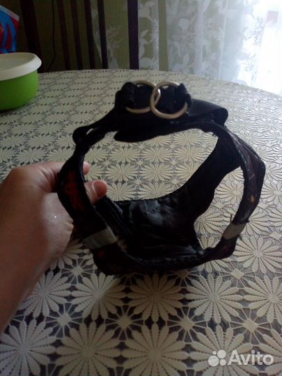 Аксессуары для собак