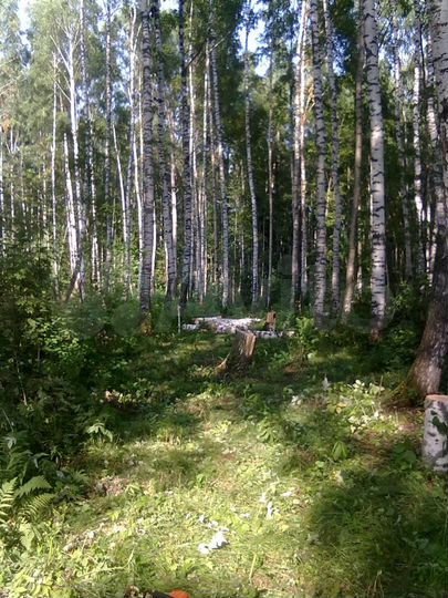 Участок 19,5 сот. (ИЖС)