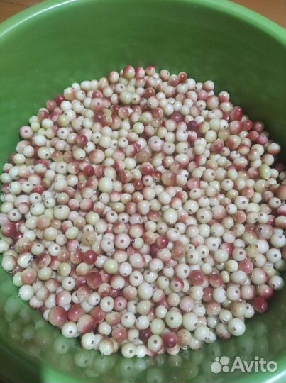 Клюква свежая