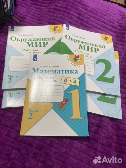 Рабочие тетради 2 класс окружающий мир