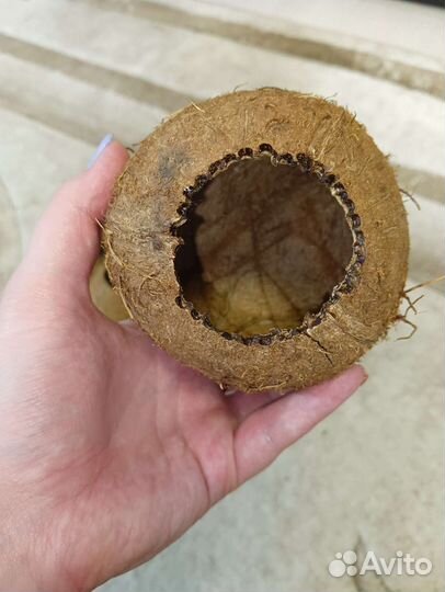 Кокос, домик для грызунов