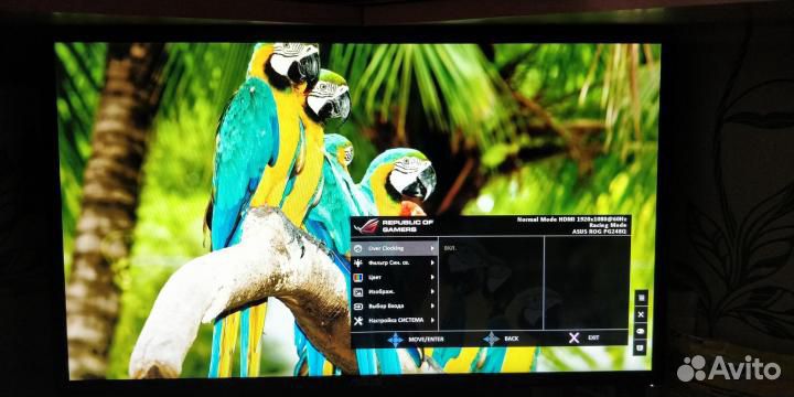 Монитор Asus rog PG248Q