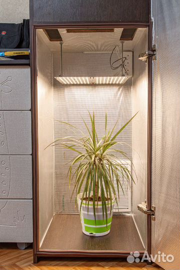 Готовый гроубокс