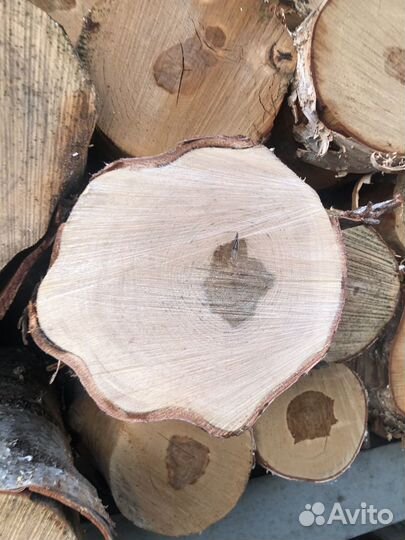 Пиловочник Лес Береза Фанкряж Ель Сосна Бревна
