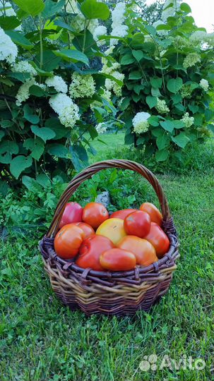 Корзина плетеная