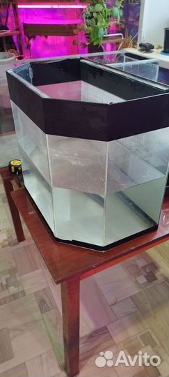 Аквариум 55 литров