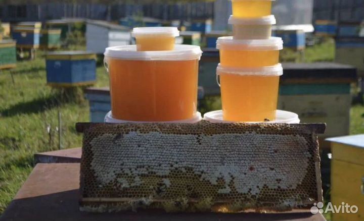 Мед 2023 Натуральный Деревенский