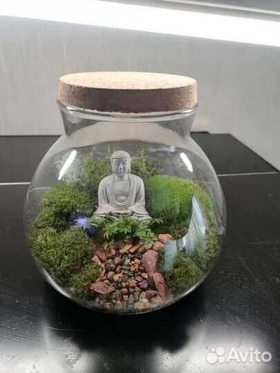 Палюдариум/Флорариум/Мохариум