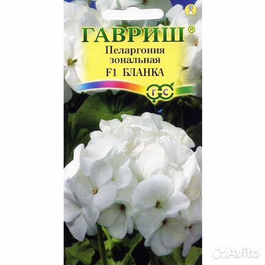 Пеларгония Бланка зональная F1