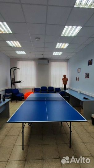Стол для настольного тенниса для помещения