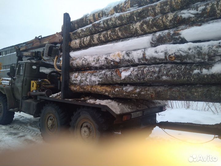 Перевозка круглого леса