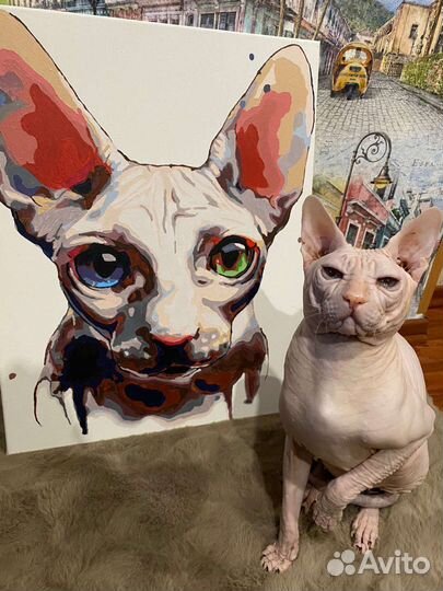 Донской сфинкс вязка