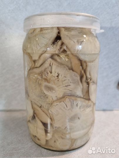 Белые грибы - маринованные,сушеные, ягода