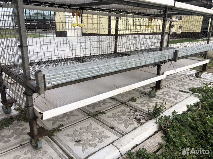 Клетка для бройлеров