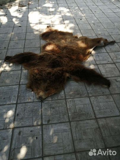 Шкура медведя имитация