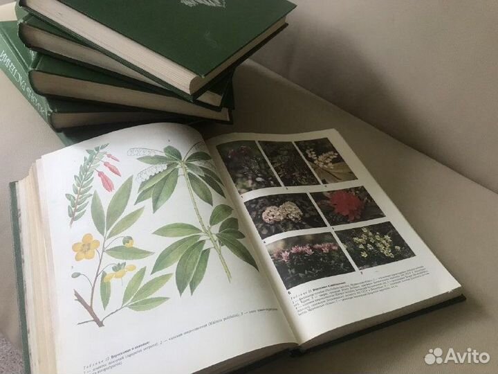 Книги из домашней библиотеки