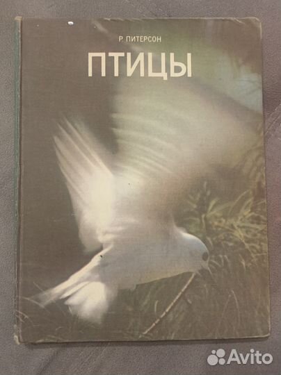 Питерсон Птицы