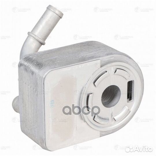 Радиатор масл. для а/м Ford Focus III (11) /C-M