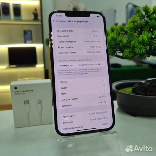 iPhone 12 Pro Max, 256 ГБ