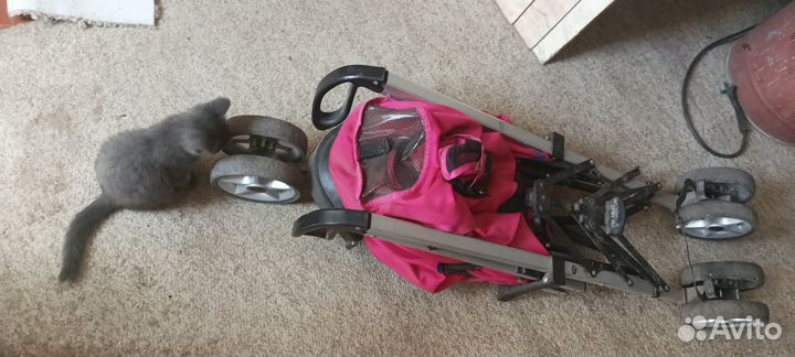 Прогулочная коляска