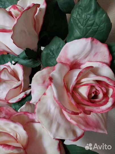 Ростовые розы