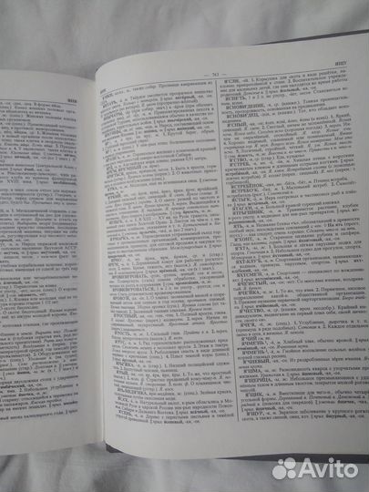 Словарь русского языка С.И. Ожегов