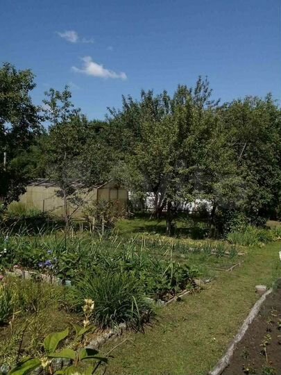 Участок 6 сот. (СНТ, ДНП)