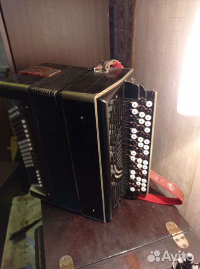 Баян тульский