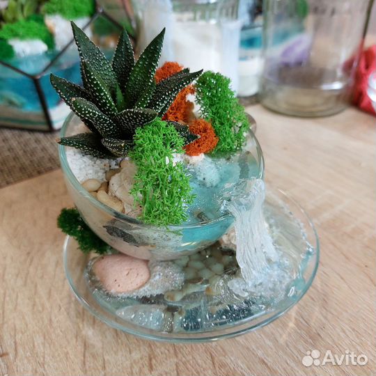 Мини флорариум с суккулентом, водопадом и водоёмом