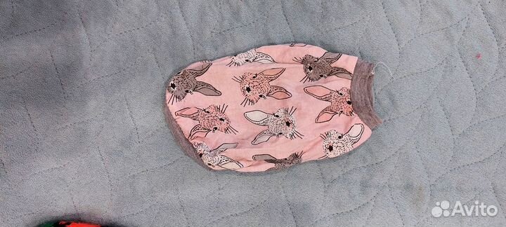 Одежда для Кошечки,собачки