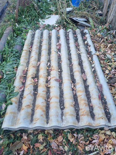 Шифер волновой бу