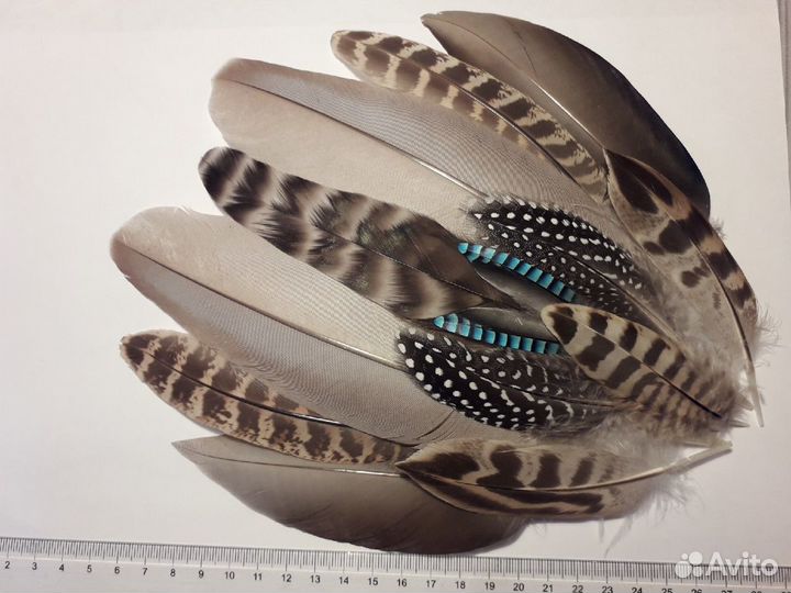 Перья для костюма индейца