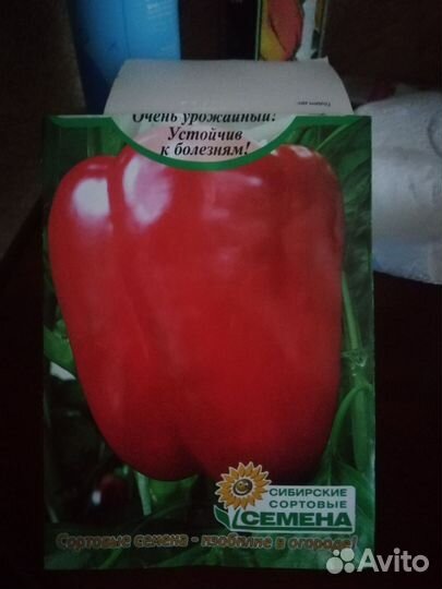 Перец болгарский