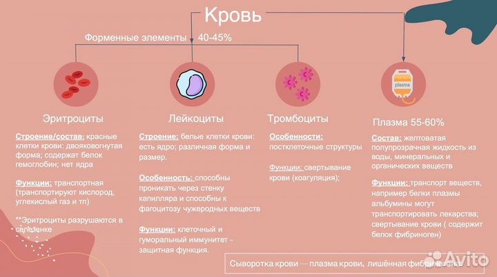 Репетитор по биологии