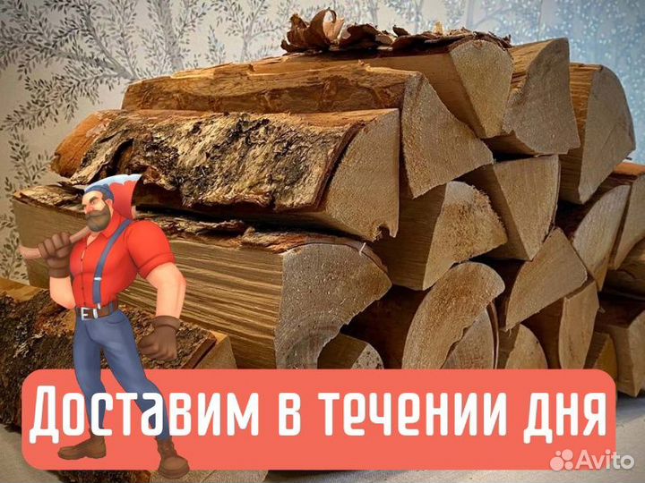 Дрова колотые березовые