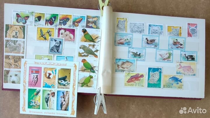 Альбом с марками