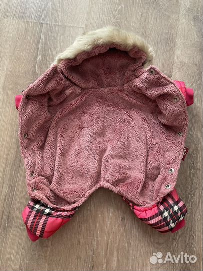 Одежда для маленьких собак