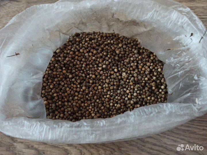 Семена кориандра