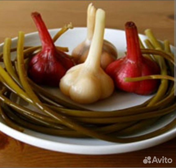 Соленья домашние