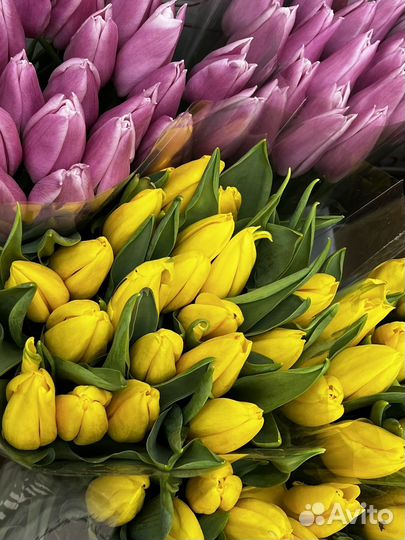 Тюльпаны ростов доставка цветов