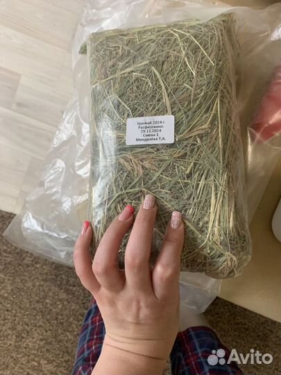 Сено для грызунов