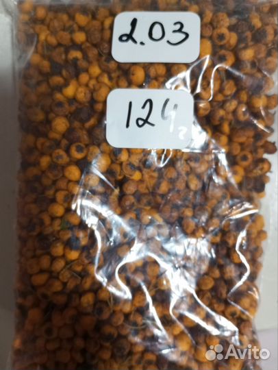 Пираканта ягоды