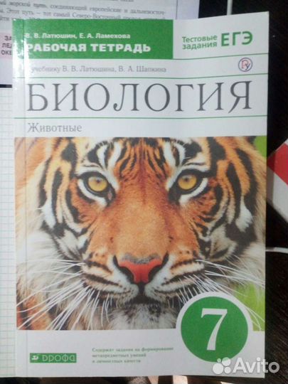 Рабочая тетрадь