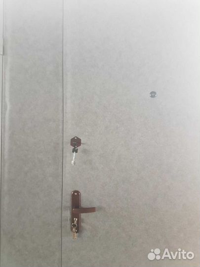 Входные двери от завода 2