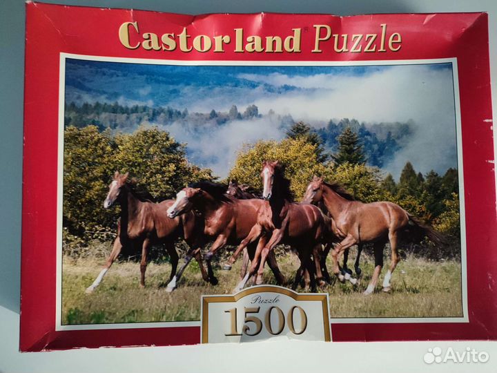 Пазлы 1500