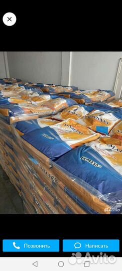 Семена подсолнечника под экспресс