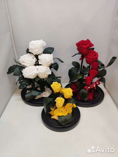 Роза в колбе оптом и в розницу