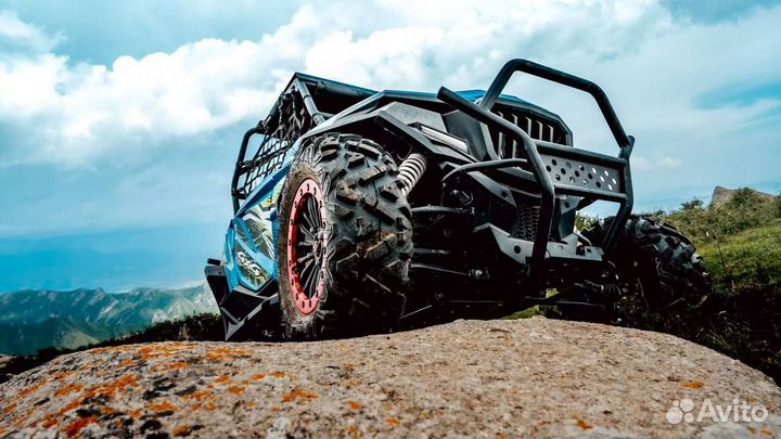 Новый багги ZD 800UL